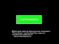 Coca Cola Productions ApolloProScreen Dankelodeon DVD Logo Version 2009