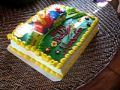 Alex Checks Out Her Elmo Cake