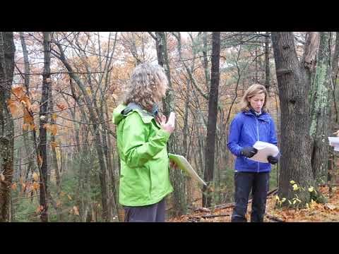 Wellesley students visit local sites to study geology - Part 1 Longfellow Pond.