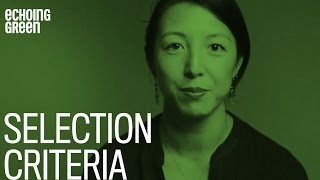 Echoing Green Fellowship Selection Criteria