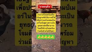 Download lagu #remix #dj #edm #music #sound #automobile #bamboo1 #mindset #farmlife #missuniverse mp3 Download lagu #remix #dj #edm #music #sound #automobile #bamboo1 #mindset #farmlife #missuniverse mp3