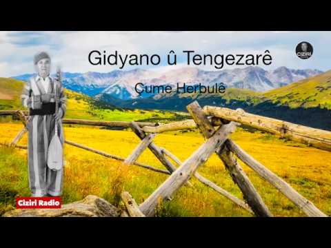 Mihemed Arif Cizîrî, Gidîyano û Tengezarê gel  Çûme Herbûlê 4k