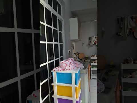 48G Elite Park Ave, Bedok / Upper East Coast, Studio, 389 sqft, Corner Terrace For Rent, by Quincy Sung, 25545251 - PropertyGuru.com.sg