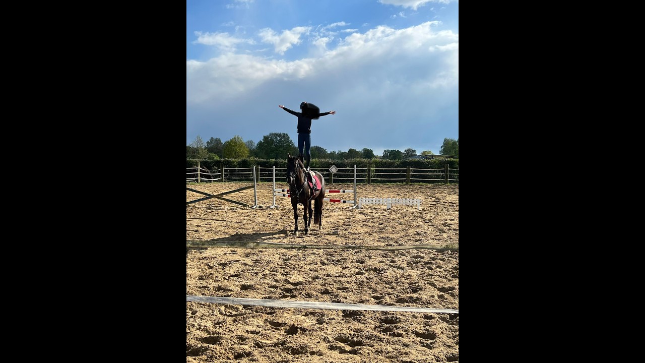 Poppings Carola (SPOEKEDAMMETJE’S NICK x ELSHOFS OTTO) video 4