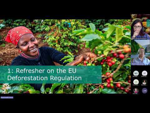 EU Deforestation Regulation  - Exploring latest interpretations