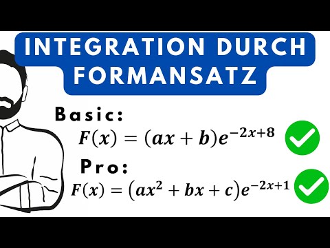Integration durch Formansatz. e-Funktionen. Erklärung+Aufgaben+Lösungen