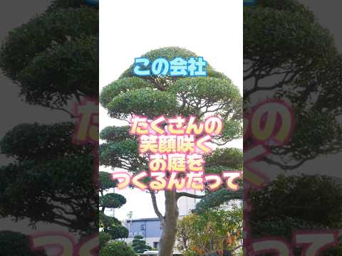 aménagement-paysager-Studio-H-bois-composite-parasol-plantes aménagement paysager