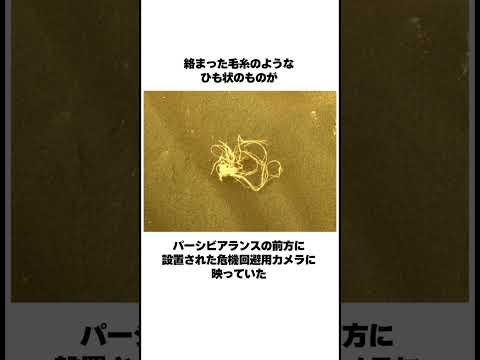 宇宙飛行士スコット・ケリー「火星に行く途中で人々は死ぬだろう」