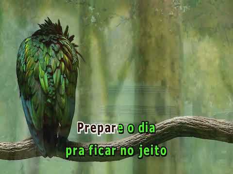O Cravo e a Rosa - Jair Rodrigues