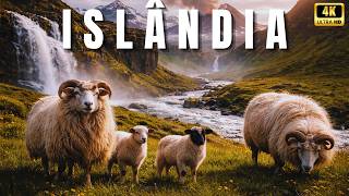 Islândia Selvagem — O Lugar Onde a Terra Nunca Parou de Nascer - Documentário Slow Motion