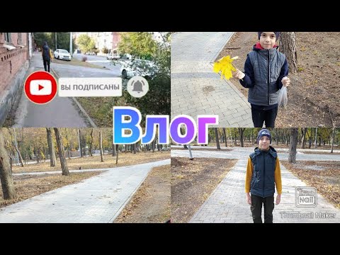 Влог / В поисках шишек / Парк Собино Ростов-на-Дону