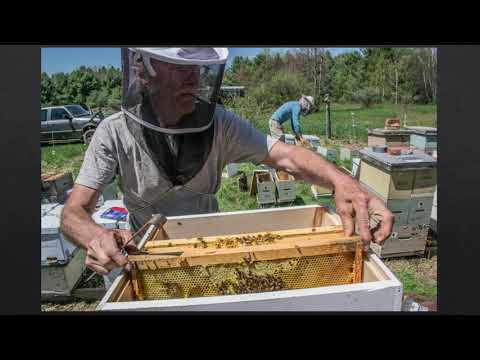 A Year at French Hill Apiaries - Mike Palmer
