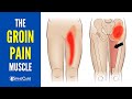 The Groin Pain Muscle (How to Release It for INSTANT RELIEF)