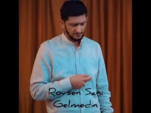 Rovsen Sani - Gelmedin (Audio Music)