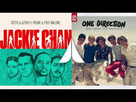 JACKIE CHAN x WHAT MAKES YOU BEAUTIFUL | One Direction & Tiesto [Mashup]