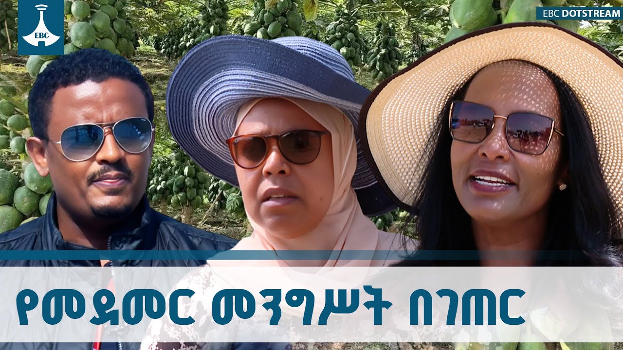 በተደመረ ጥረት ውጤት የተገኘባቸው ሥራዎች ETV | EBC | EBCDOTSTREAM