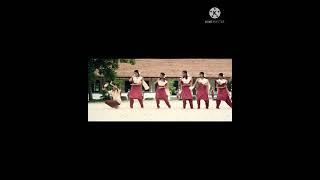 SARAVANAN IRUKKA BAYAMAEN || Yembuttu Irukuthu Aasai || D.Imman