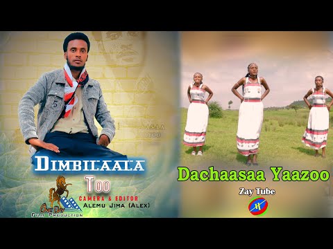 Dachaasaa Yaazoo - Dimbilaala too - New Ethiopian Oromo music 2021