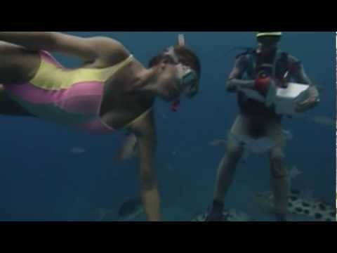 tv presenter snorkeling in clear water