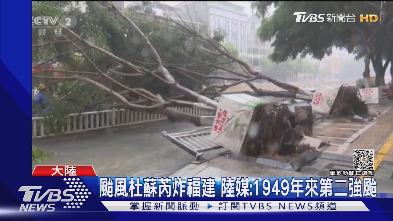 養殖戶哭哭!颱風杜蘇芮走後福建漳州滿地生蠔撿不完