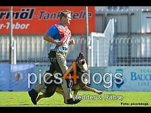 MS WUSV 2012 - Jaroslav Vnencak & Witz Eqidius B: 95