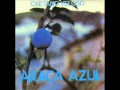 Caetano Veloso -- Epico/Araça Azul