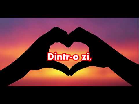 Mihaela Runceanu - De ar fi sa vii (karaoke)
