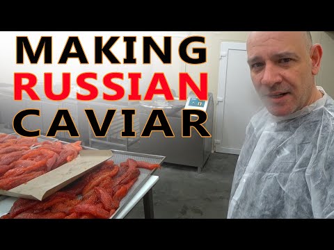 I Travel 10 Hours To Produce The Freshest Caviar! 🇱🇻