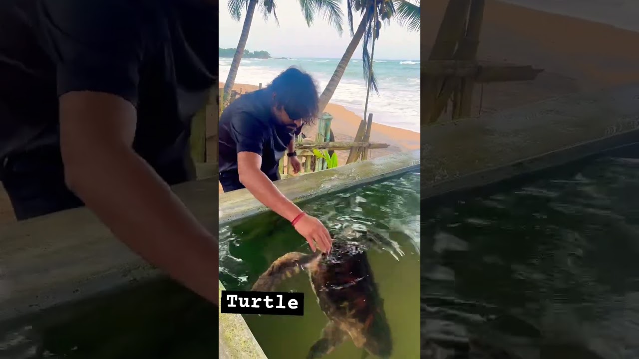 YouTube Short thumbnail