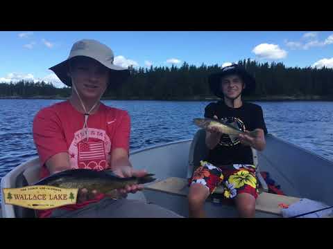 Gammon river Outpost - YouTube
