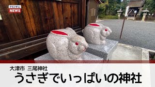 【アミンチュニュース】うさぎでいっぱいの神社（大津市　三尾神社）