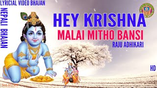 Download Lagu Hey Krishna Malai Mitho Bamsi Lyrical Video - Raju Adhikari Nepali Bhajan || Srd Bhakti Bhajan Thumbnail
