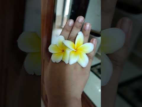 These are  our new flowers 🌹