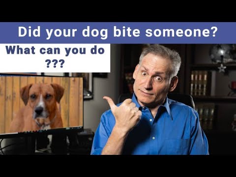 YouTube video about: Can you sue someone for their dog attacking your dog?
