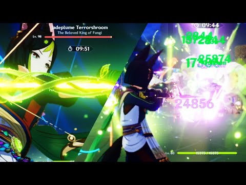 Ibis Piercer Worth to Build for Tighnari? | C0 Tighnari Spread Genshin Impact Spiral Abyss 3.7