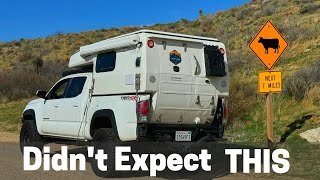 Anza Borrego Surprise: Discovering the Unique Campluxe Cabover Camper