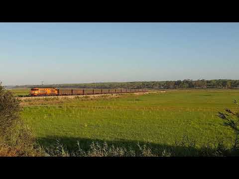 Comboio de Areia n.º 55891/0 - Monte das Faias