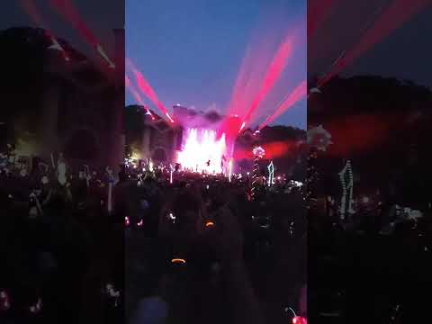 Sofi Tukker ⚡ 🌲 emergency