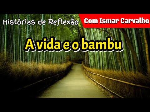 A Vida e o Bambu - Histórias de Reflexão Com Ismar Carvalho