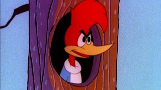 Pica-Pau | Mega Compilação Clássica Vol. 25 | Desenhos Animados Retrô Engraçados