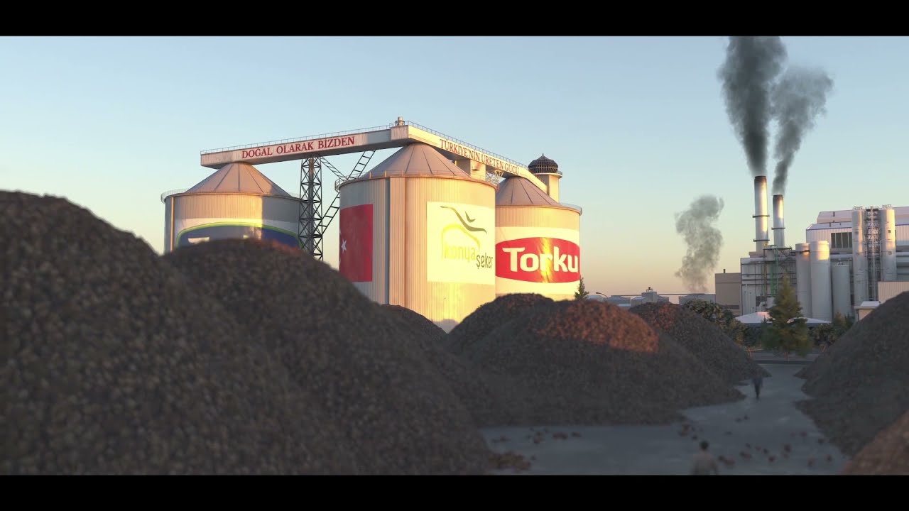 Sugar Beet High Quality 4K 3D Model