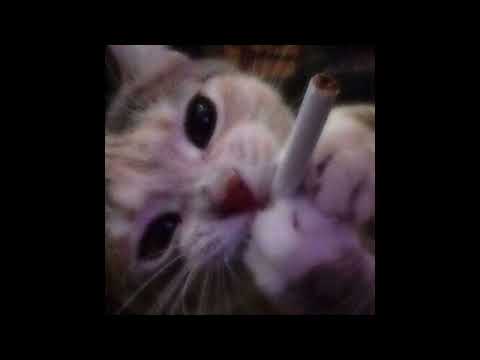 boytryhard - 半圈 ft. still.h0me