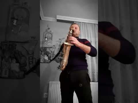 Dobrica SAX - Zanimacija