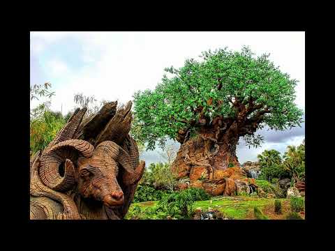 Discovery Island Area Music