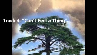 Clearlake - "Can't Feel a Thing"  (Album Version)
