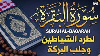 سورة البقرة كاملة لطرد الشياطين من منزلك وجلب البركه باذن الله ❤️ surat albaqra