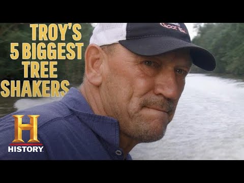 Swamp People: TROY'S BIGGEST TREE SHAKERS *5 MASSIVE GATORS* (Part 1) | History