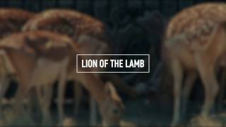 BETHEL MUSIC - Lion And The Lamb (Lyric Video)