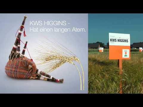 KWS HIGGINS – Hat einen langen Atem.