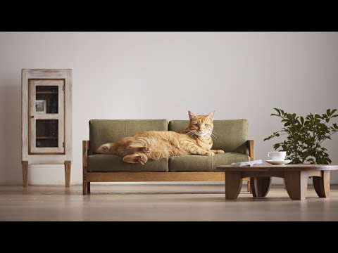 MEJORES BRUSCHIMICHIS - #5